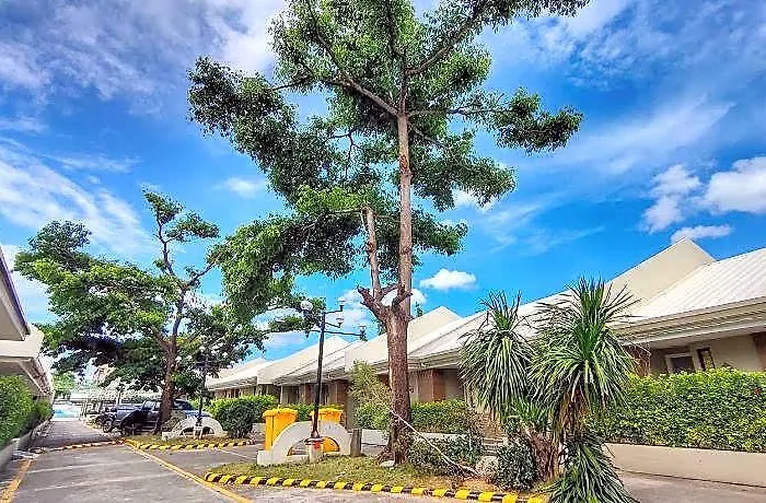 S And M - Mandaue 3*